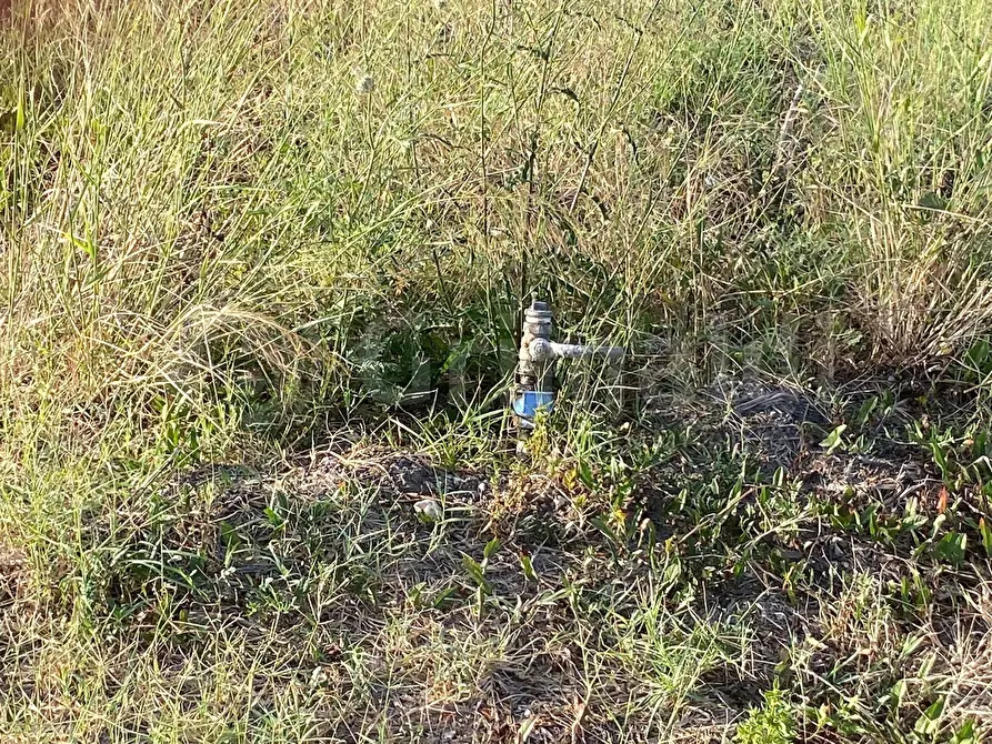 Immagine 4 di Terreno agricolo in vendita  a Giugliano In Campania