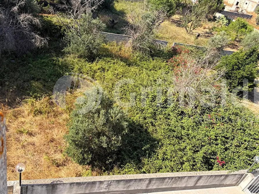 Immagine 3 di Villa in vendita  in Via Gallipoli a Alezio
