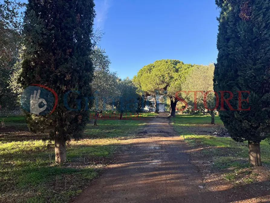 Immagine 3 di Rustico / casale in vendita  a San Vito Dei Normanni