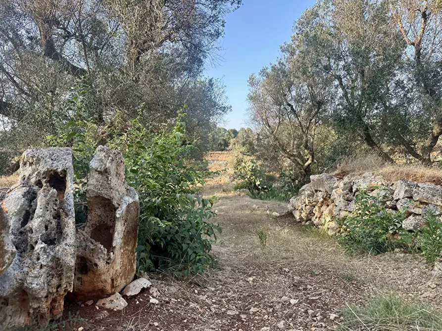 Immagine 4 di Terreno edificabile in vendita  a Ceglie Messapico
