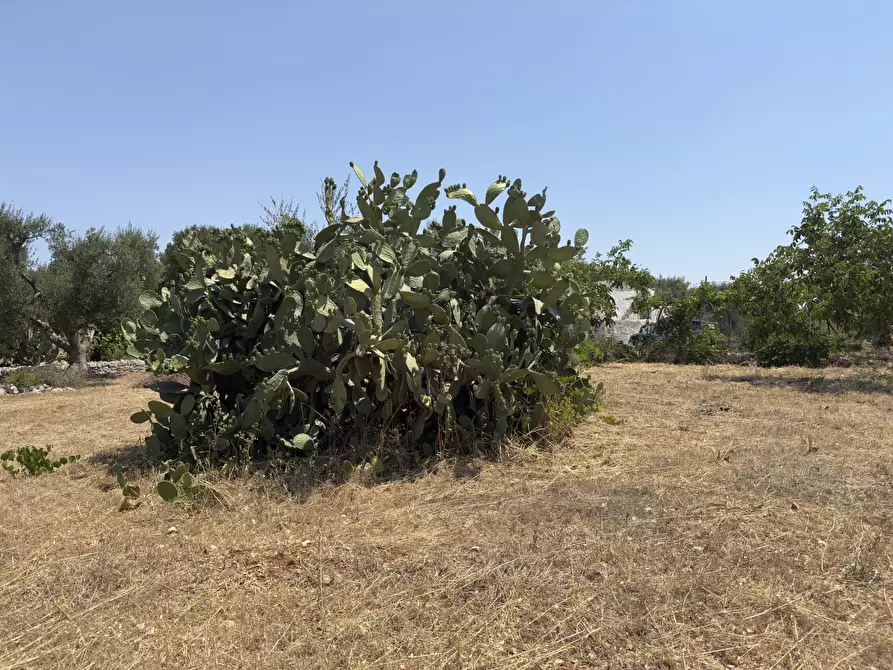 Immagine 4 di Casa indipendente in vendita  in contrada sorbole a Ostuni