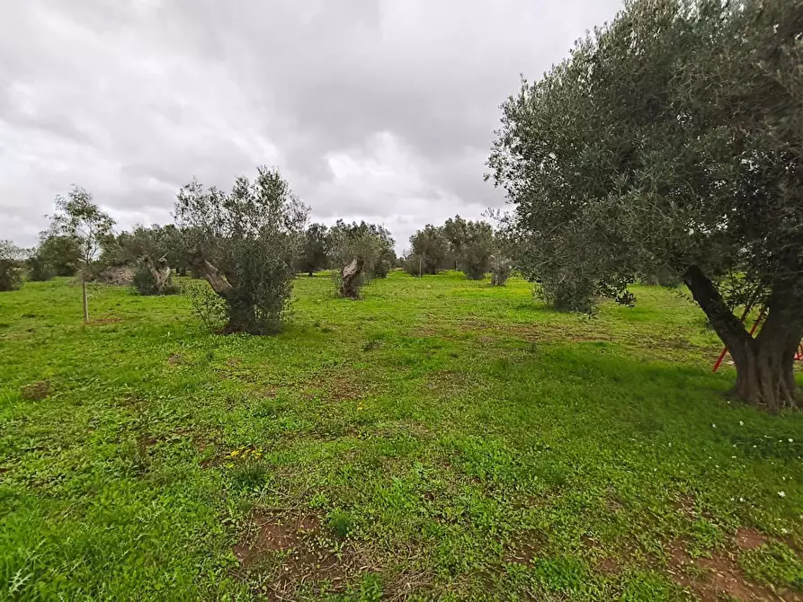 Immagine 8 di Terreno edificabile in vendita  in Contrada Curlo snc a Sannicola