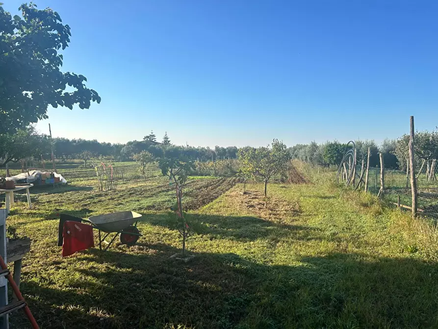 Immagine 6 di Terreno agricolo in vendita  a Terracina