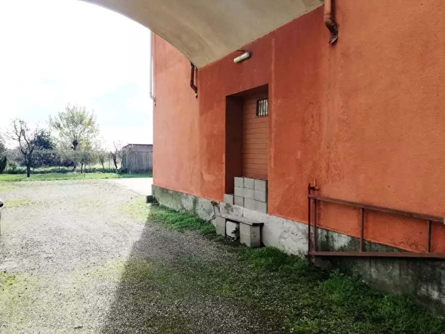 Immagine 7 di Capannone industriale in vendita  a Pezzana