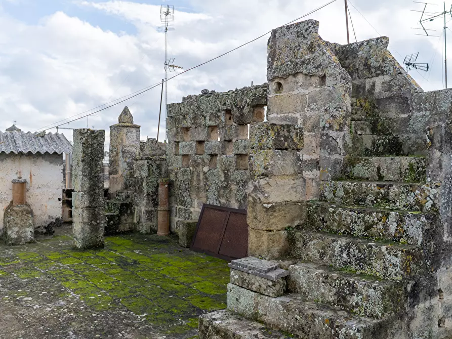 Immagine 79 di Casa indipendente in vendita  in Via Vittorio Emanuele II 14 a San Cesario Di Lecce