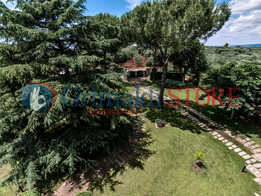 Immagine 91 di Villa in vendita  a Grottaglie