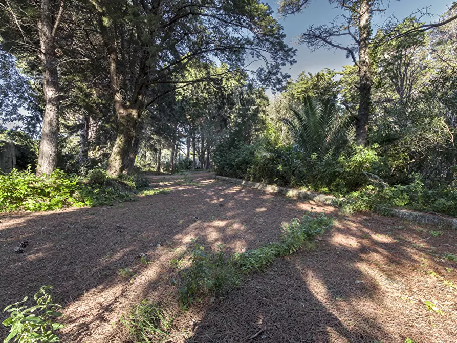 Immagine 31 di Villa in vendita  in Contrada Piano Rocca snc a Messina