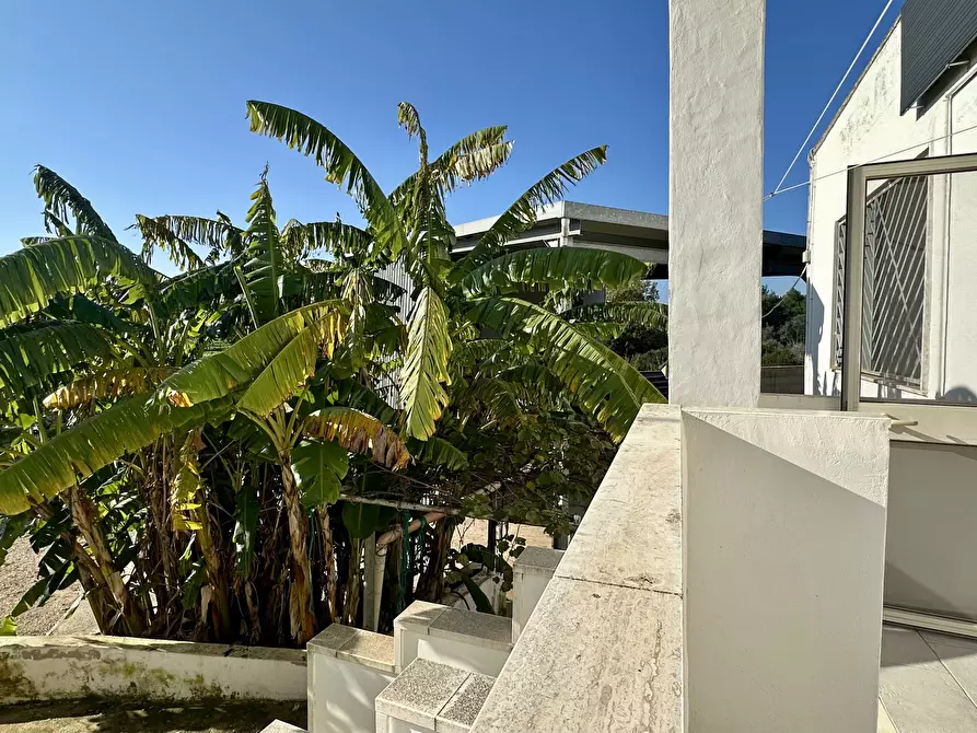 Immagine 28 di Villa in vendita  in Contrada Pezza d' Acqua Fresca 27 a San Vito Dei Normanni
