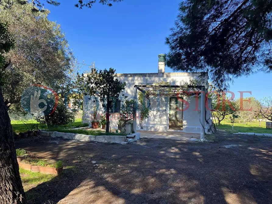 Immagine 18 di Rustico / casale in vendita  a San Vito Dei Normanni