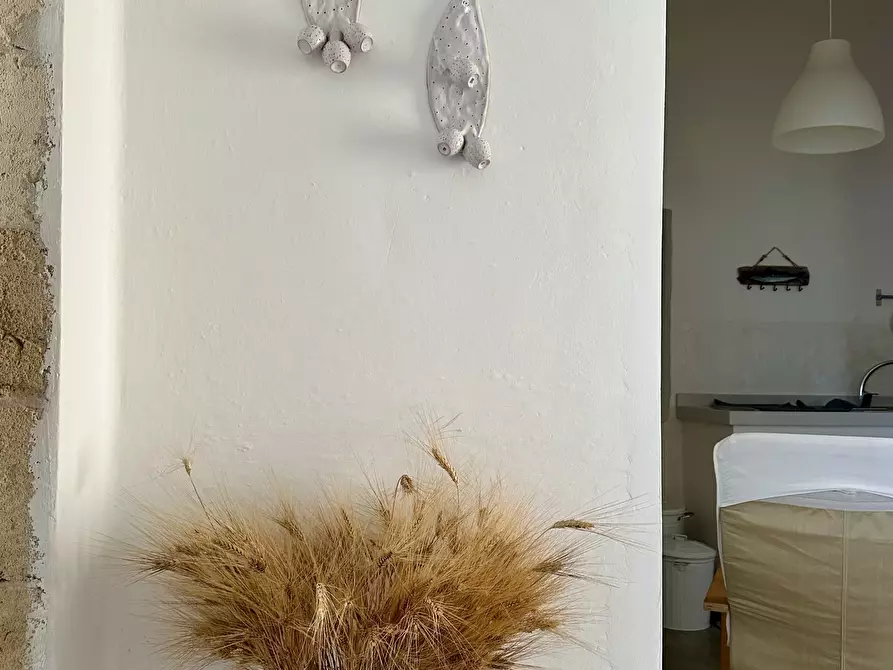 Immagine 58 di Villa in vendita  in Contrada Montestazzo 1 a Carovigno