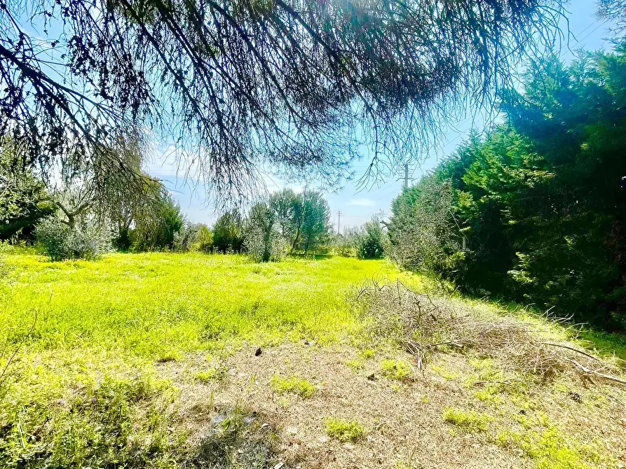 Immagine 72 di Villa in vendita  in strada provinciale 39 a Maglie