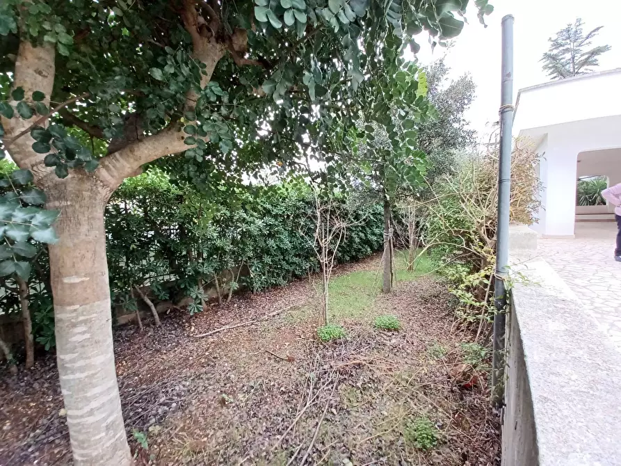 Immagine 29 di Villa in vendita  in Contrada Impalata a Monopoli