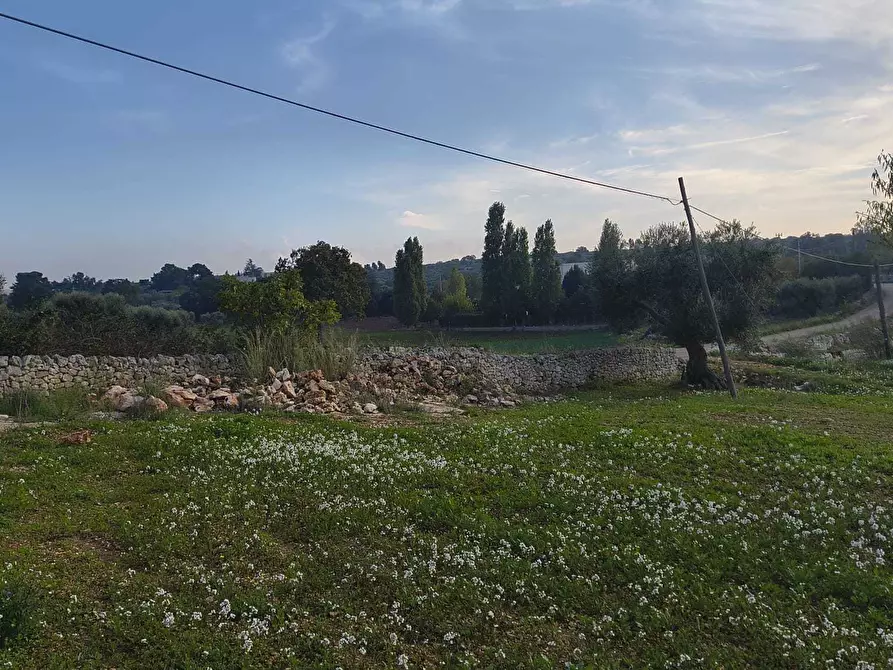 Immagine 15 di Casa indipendente in vendita  in Contrada Piangevino a Monopoli