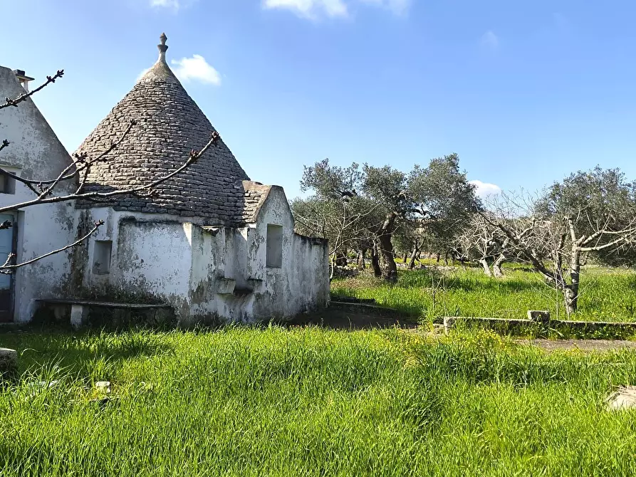 Immagine 4 di Casa indipendente in vendita  in Contrada Ciporrelli a Monopoli