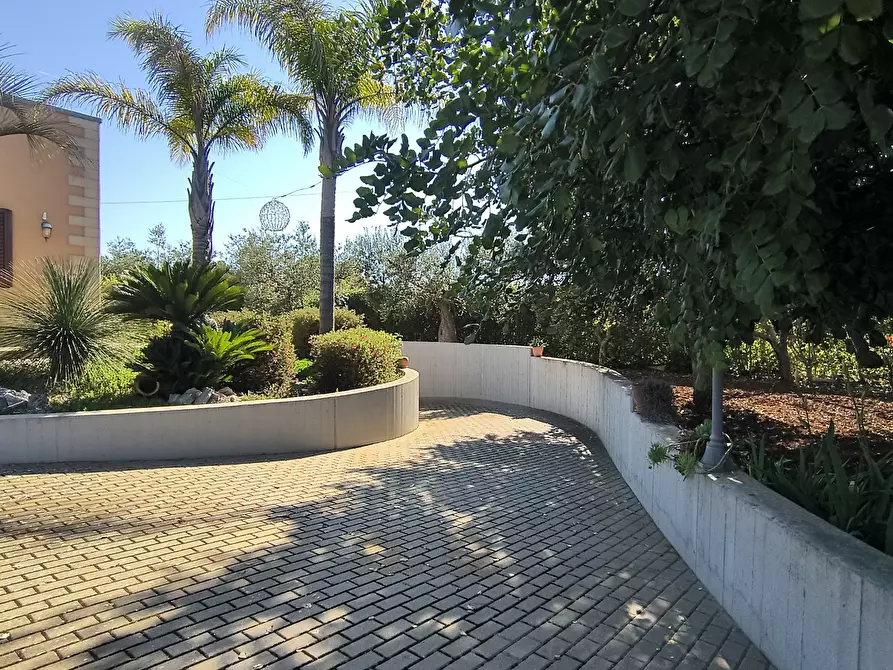 Immagine 12 di Villa in vendita  in Torre Catena a Polignano A Mare