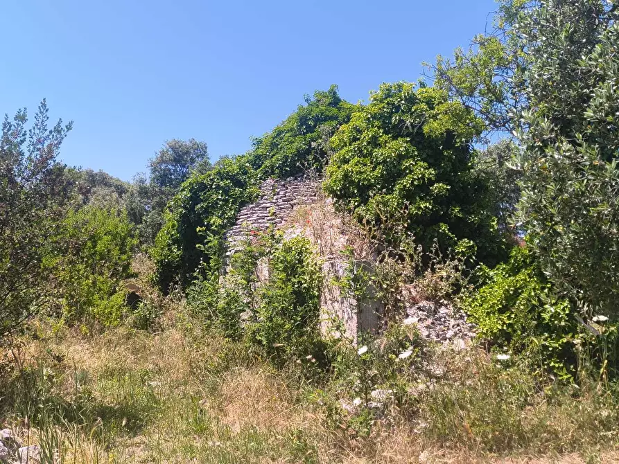 Immagine 3 di Casa indipendente in vendita  in Contrada Balice a Monopoli