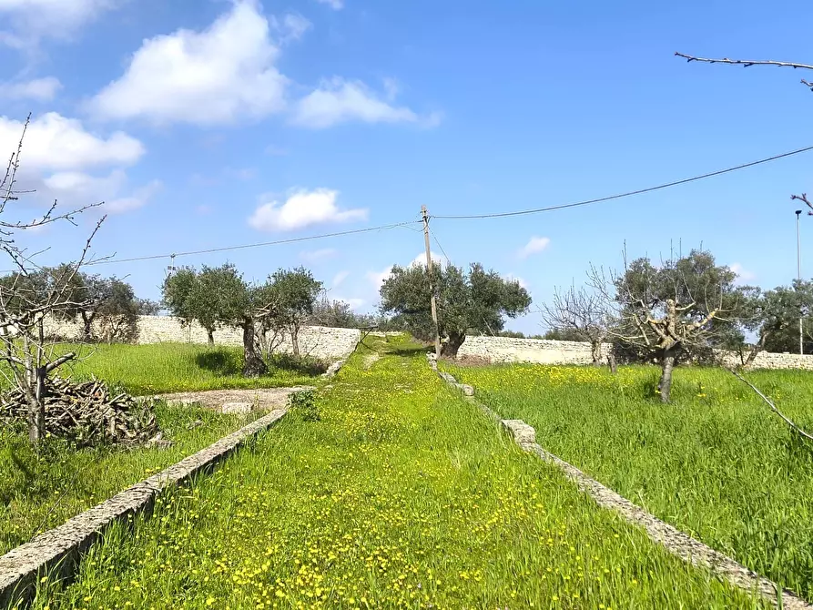 Immagine 5 di Casa indipendente in vendita  in Contrada Ciporrelli a Monopoli