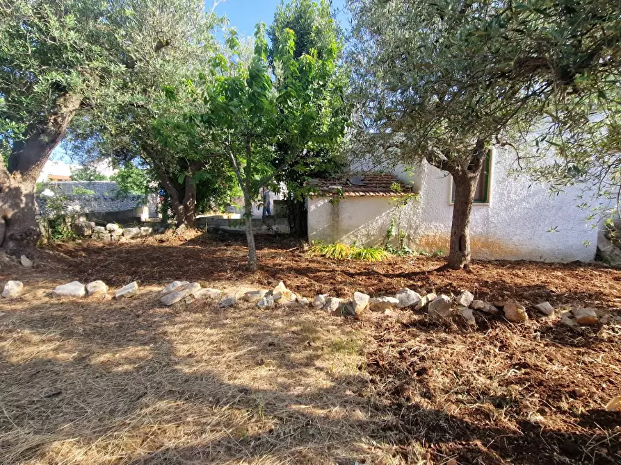 Immagine 5 di Casa indipendente in vendita  in Contrada Pagliericci a Monopoli
