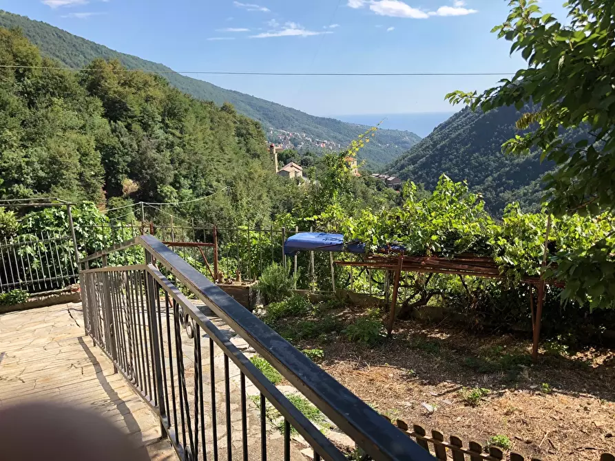 Immagine 37 di Casa bifamiliare in vendita  in Via alla Località Castagnola 66 a Sori