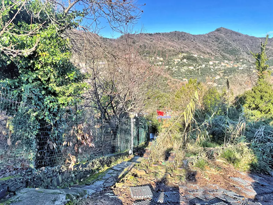 Immagine 37 di Bilocale in vendita  in Via Chiesa Vecchia di Bana 18/A a Camogli