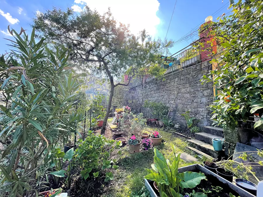 Immagine 8 di Bilocale in vendita  in Via Franco Molfino a Camogli