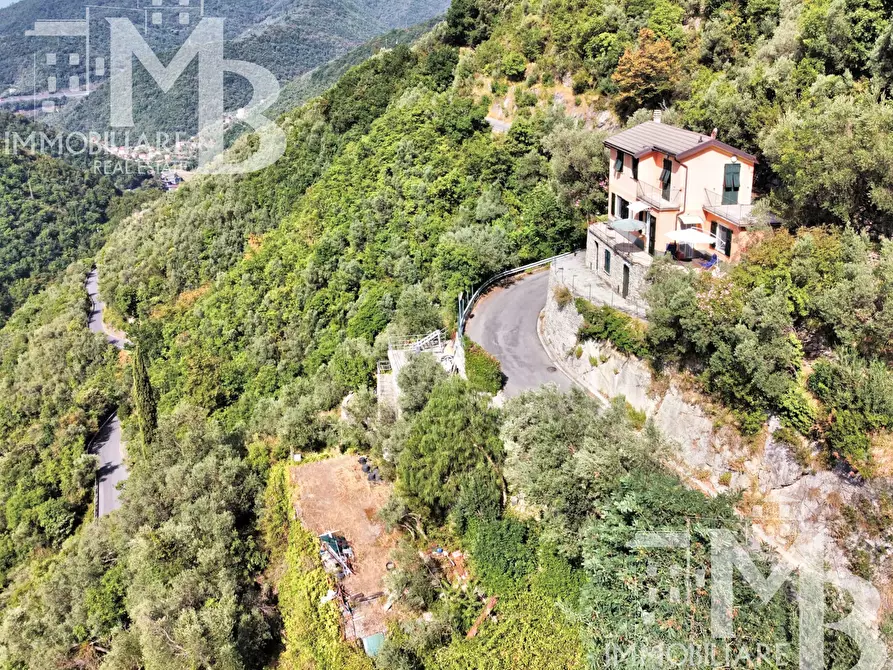 Immagine 22 di Casa indipendente in vendita  in Via Pietrafitta 1 a Avegno