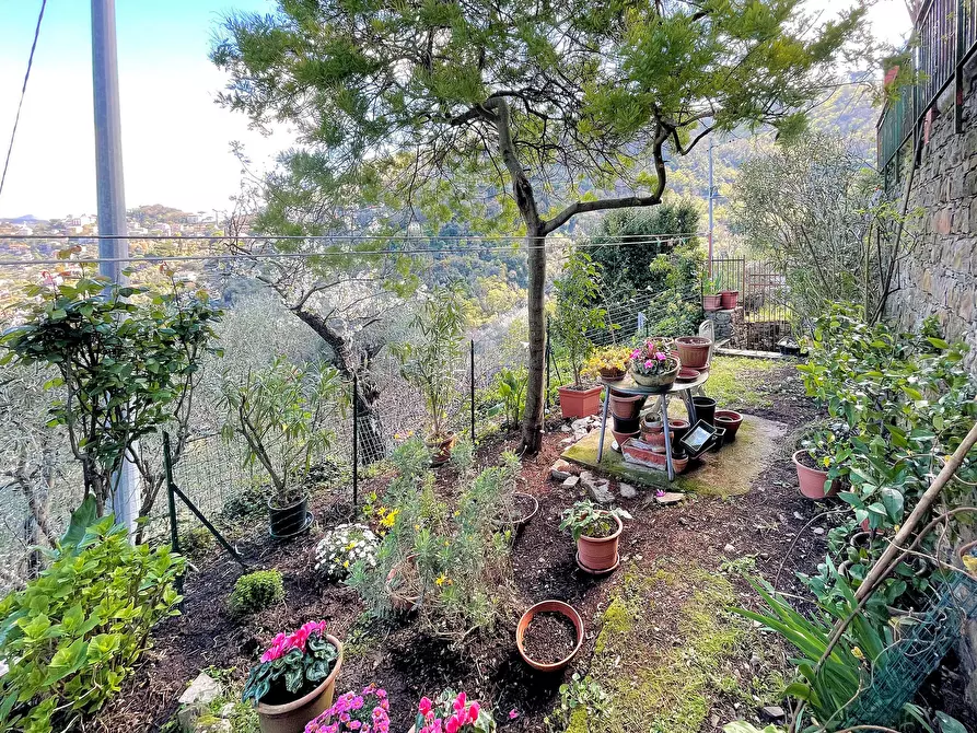 Immagine 10 di Bilocale in vendita  in Via Franco Molfino a Camogli