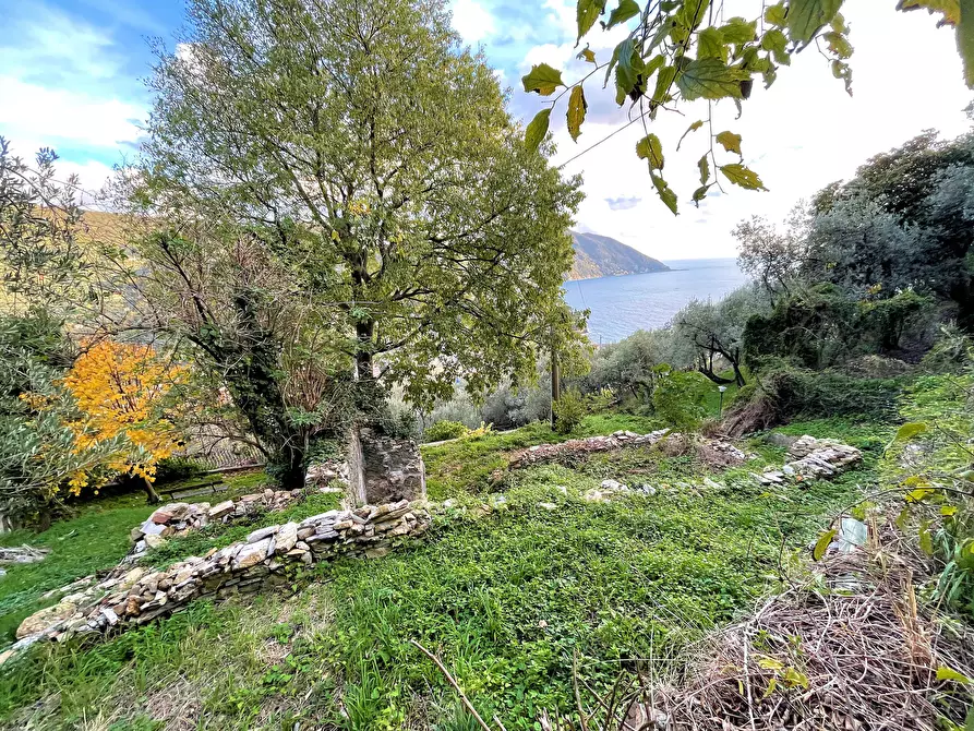 Immagine 18 di Terreno edificabile in vendita  in Via alla Pineta 2 a Recco