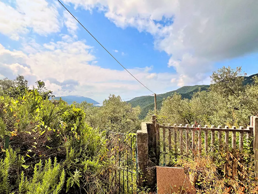 Immagine 36 di Casa indipendente in vendita  in Via Cappelletta 37 a Avegno