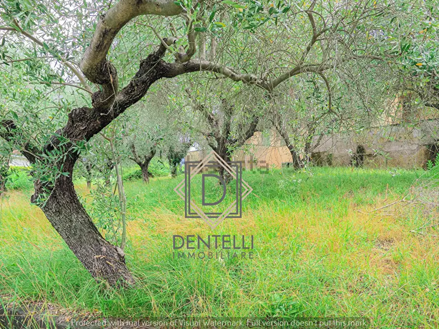 Immagine 30 di Quadrilocale in vendita  a Ameglia