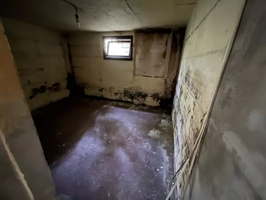 Immagine 19 di Rustico / casale in vendita  a Camaiore