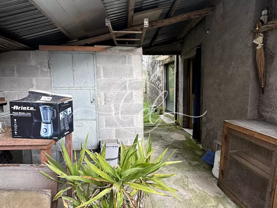 Immagine 21 di Terratetto in vendita  a Camaiore