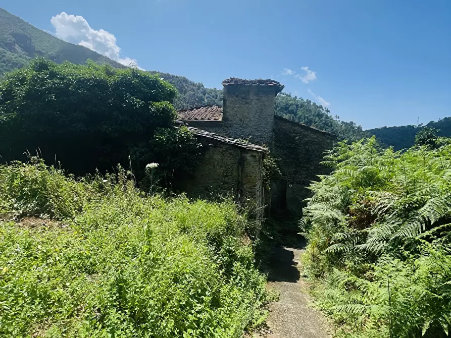 Immagine 8 di Rustico / casale in vendita  a Seravezza