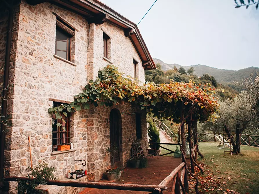 Immagine 29 di Rustico / casale in affitto  a Camaiore