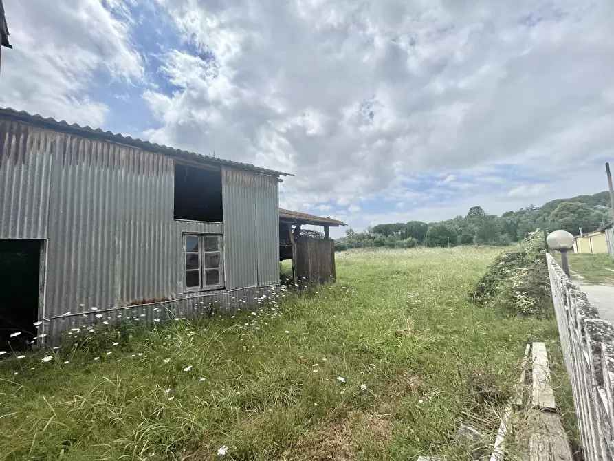 Immagine 5 di Rustico / casale in vendita  a Massarosa