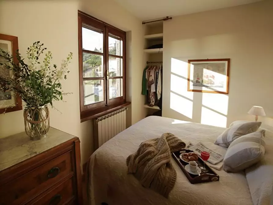 Immagine 12 di Rustico / casale in affitto  a Pietrasanta