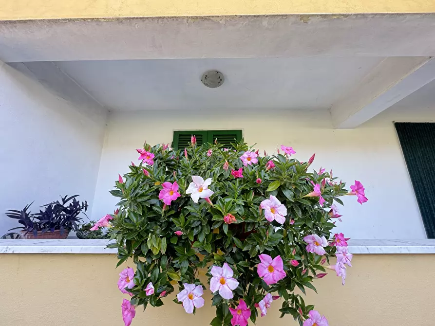 Immagine 6 di Porzione di casa in vendita  a Massa