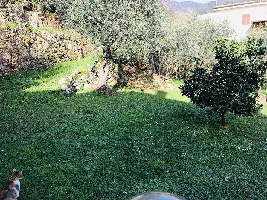 Immagine 4 di Casa indipendente in vendita  a Pietrasanta