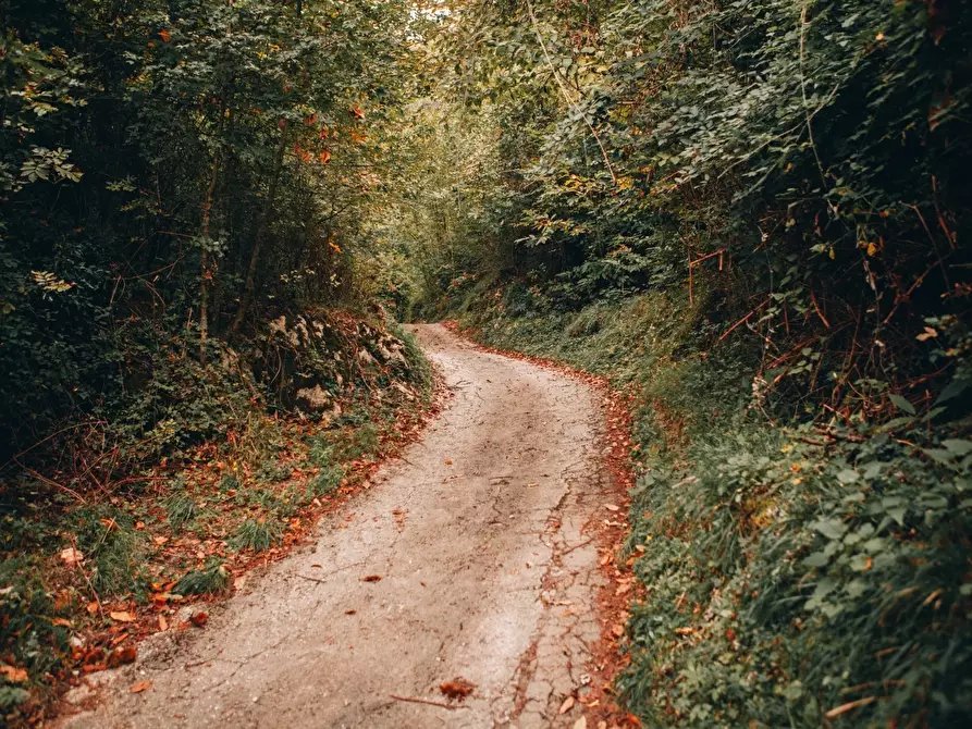 Immagine 37 di Rustico / casale in affitto  a Camaiore