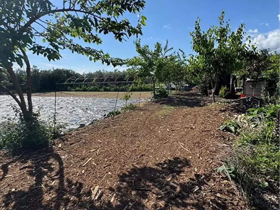 terreno agricolo in vendita a Pietrasanta