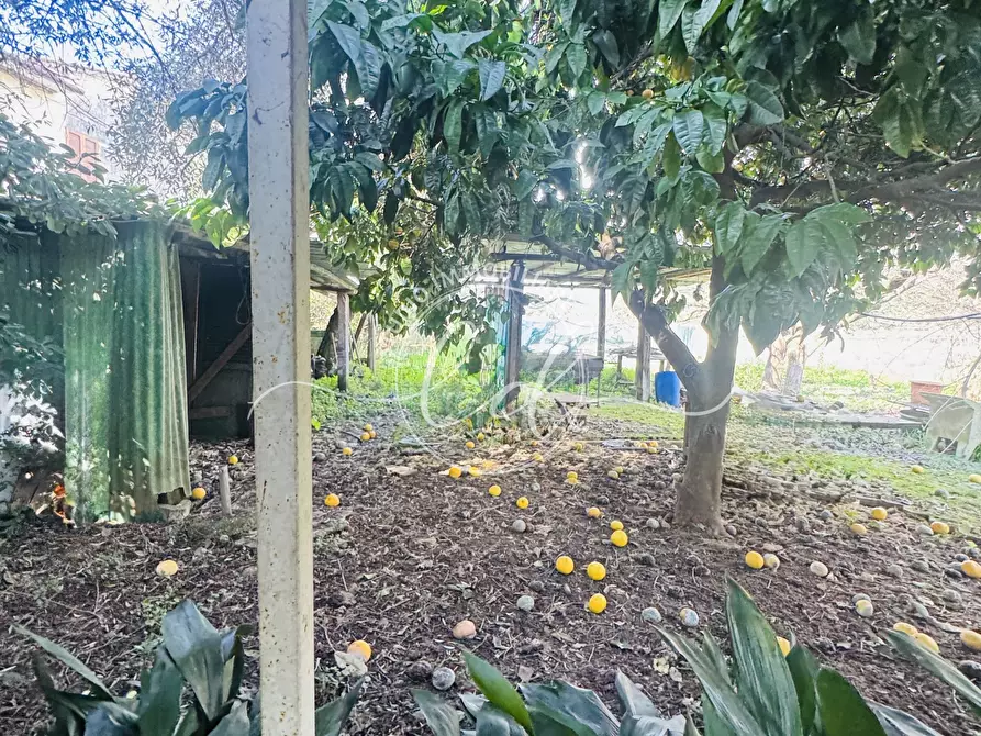 Immagine 21 di Porzione di casa in vendita  a Seravezza