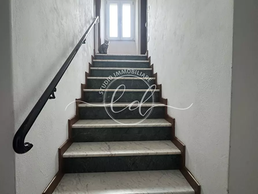 Immagine 3 di Terratetto in vendita  a Seravezza