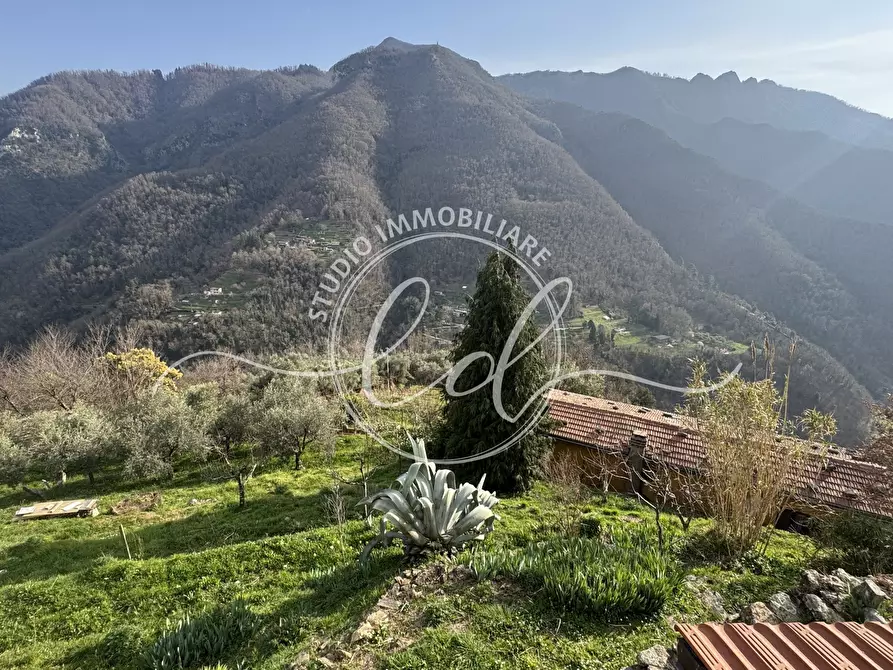 Immagine 75 di Casa indipendente in vendita  a Stazzema