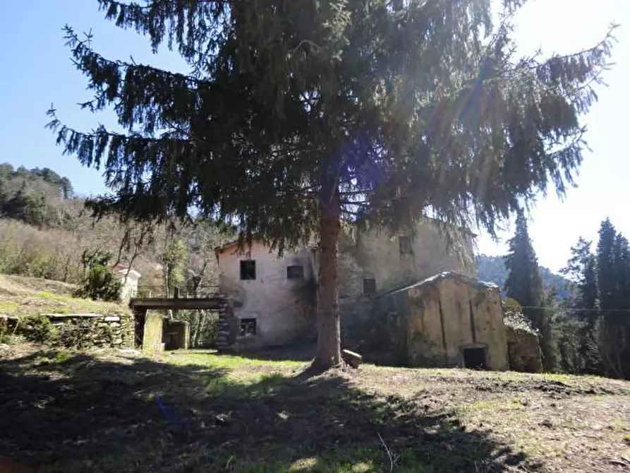 Immagine 1 di Rustico / casale in vendita  a Seravezza