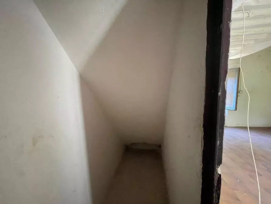 Immagine 32 di Rustico / casale in vendita  a Camaiore