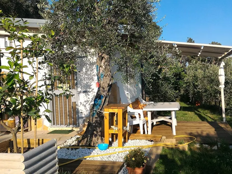 Immagine 3 di Baita in vendita  a Pietrasanta