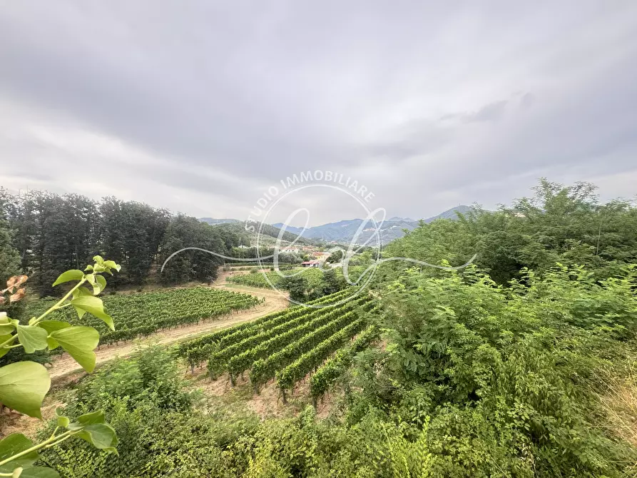 Immagine 21 di Terreno edificabile in vendita  a Ortonovo