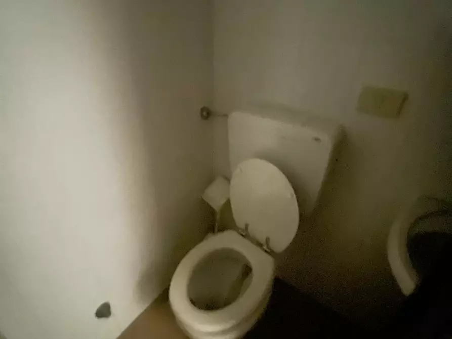 Immagine 17 di Capannone industriale in affitto  a Camaiore