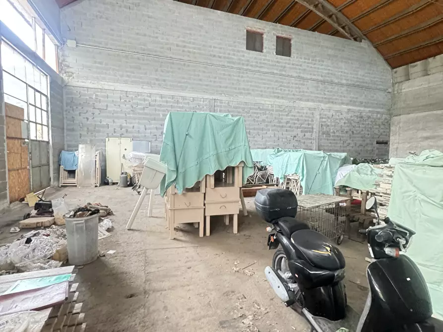 Immagine 10 di Magazzino in affitto  a Pietrasanta