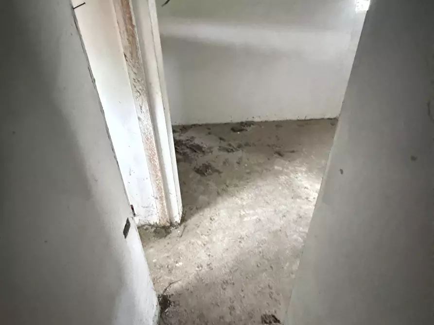 Immagine 34 di Porzione di casa in vendita  a Camaiore